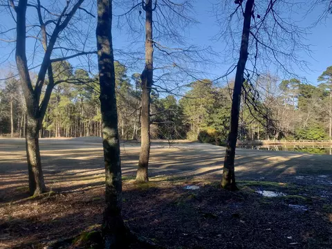 21 Lochmere Dr, Pinehurst, NC 28374 photo 6
