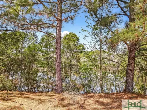 6 Chilmark Ct, Pooler, GA 31322 photo 13