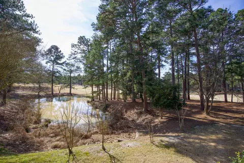 10 Pine Tree Rd #128, Pinehurst, NC 28374 photo 34