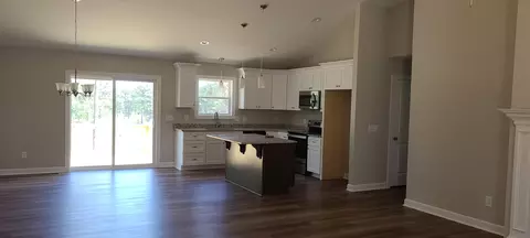 198 N Erfie Dr, Pinebluff, NC 28373 photo 2