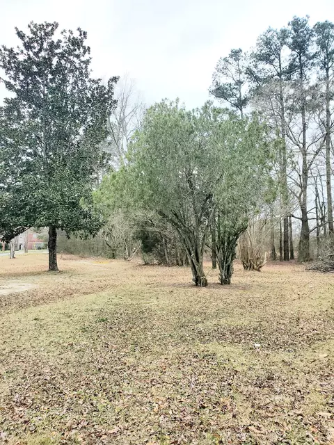 1679 E Us 74 Hwy, Hamlet, NC 28345 photo 24