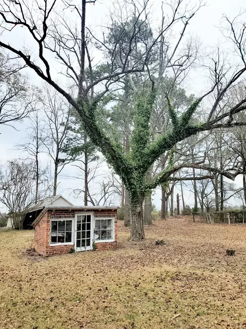 1679 E Us 74 Hwy, Hamlet, NC 28345 photo 26