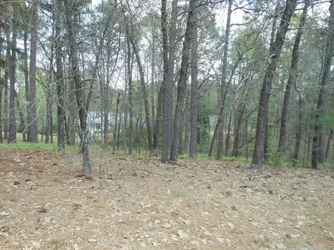 68 Mcmichael Dr, Pinehurst, NC 28374 photo 1