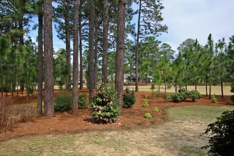 20 Royal County Down, Pinehurst, NC 28374 photo 29
