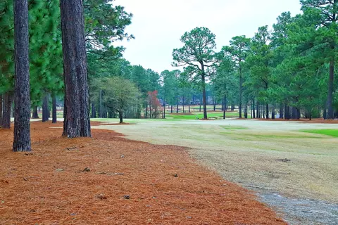 20 Royal County Down, Pinehurst, NC 28374 photo 28