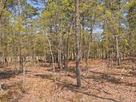 4 Meadow Ct, Foxfire, NC 27281 photo 11