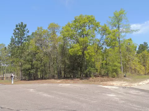 4 Meadow Ct, Foxfire, NC 27281 photo 9