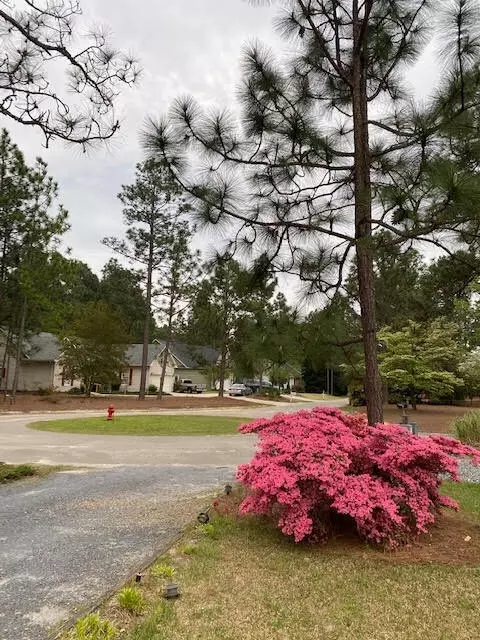 7 York Pl, Pinehurst, NC 28374 photo 59