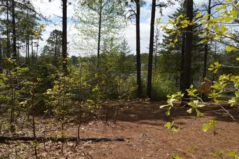 104 Hawick Ct, Pinehurst, NC 28374 photo 4