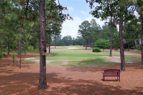 53 Pinewild Dr, Pinehurst, NC 28374 photo 39