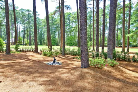 53 Pinewild Dr, Pinehurst, NC 28374 photo 6