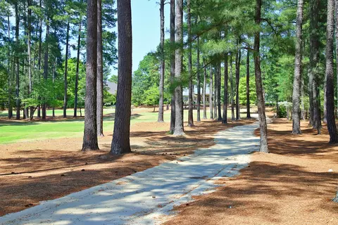 53 Pinewild Dr, Pinehurst, NC 28374 photo 9