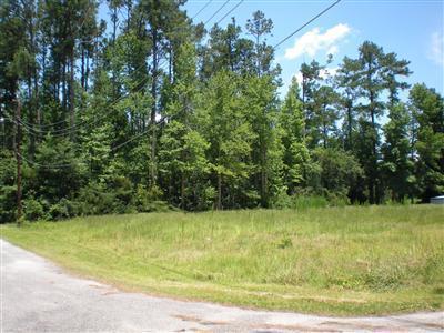 201 Worth St, Tabor City, NC 28463