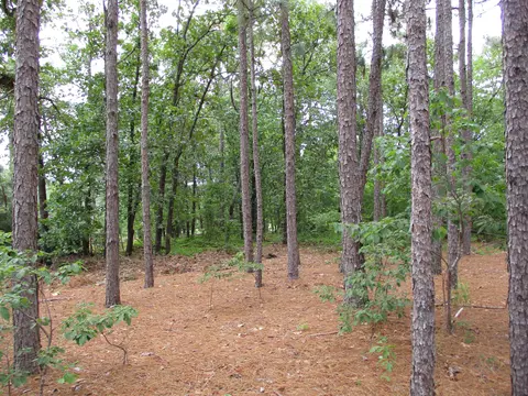 13 Eagle Dr, Jackson Springs, NC 27281 photo 4