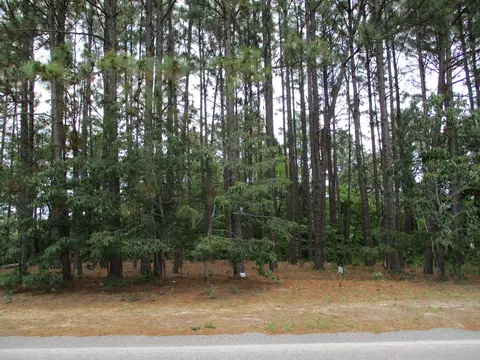13 Eagle Dr, Jackson Springs, NC 27281 photo 1