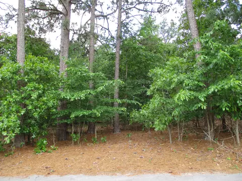 13 Eagle Dr, Jackson Springs, NC 27281 photo 3