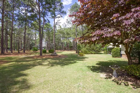 245 W Chicago Ave, Pinebluff, NC 28373 photo 32