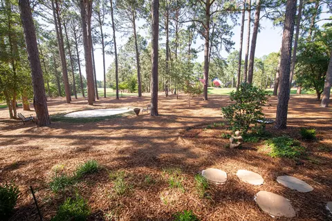 34 Lasswade Dr, Pinehurst, NC 28374 photo 43