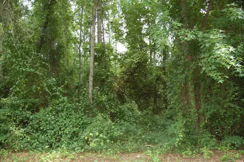 809 Elderberry Dr, Vass, NC 28394 photo 1