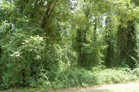 809 Elderberry Dr, Vass, NC 28394 photo 2