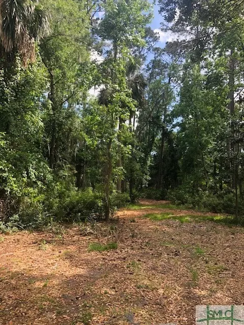 2 Marsh Elder Ln, Savannah, GA 31411 photo 5