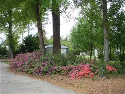 345 Conway Rd, Fair Bluff, NC 28439 photo 22