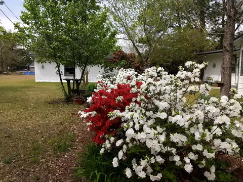 2019 Mcdonald Ave, Hamlet, NC 28345 photo 29
