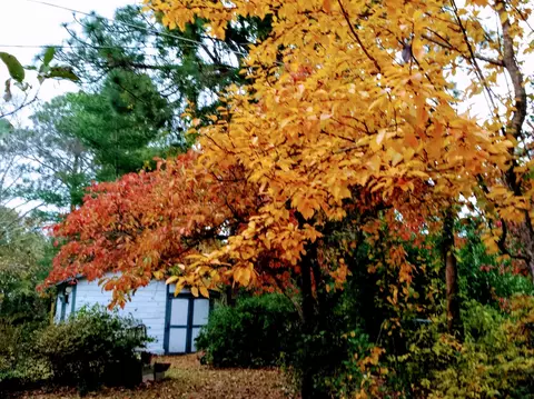 2019 Mcdonald Ave, Hamlet, NC 28345 photo 30