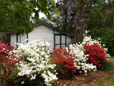 2019 Mcdonald Ave, Hamlet, NC 28345 photo 28
