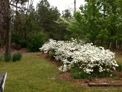 2019 Mcdonald Ave, Hamlet, NC 28345 photo 31