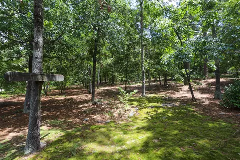 127 Sunset Way, West End, NC 27376 photo 34
