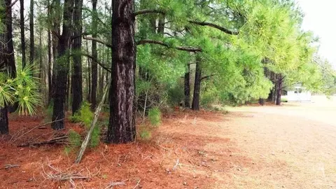 3954 Airport Rd, Clarkton, NC 28433 photo 4