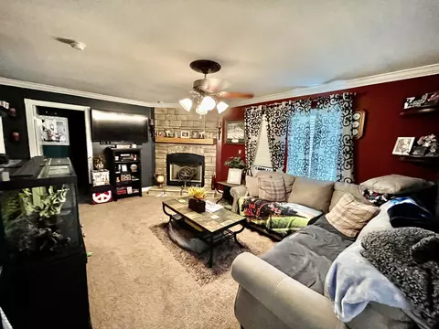 1119 Ghio Rd, Hamlet, NC 28345 photo 4