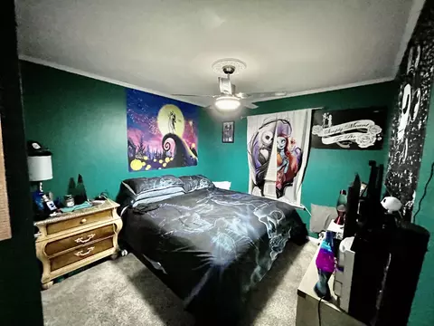 1119 Ghio Rd, Hamlet, NC 28345 photo 14