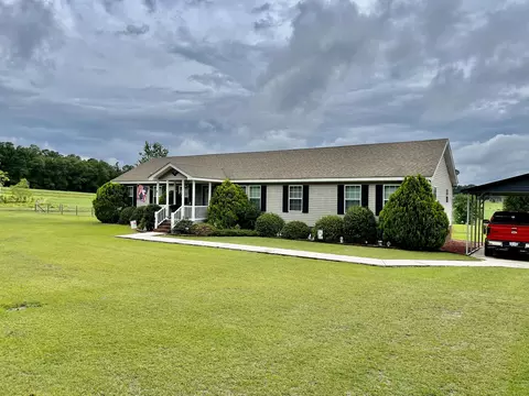 1119 Ghio Rd, Hamlet, NC 28345 photo 1
