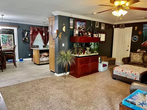 1119 Ghio Rd, Hamlet, NC 28345 photo 2