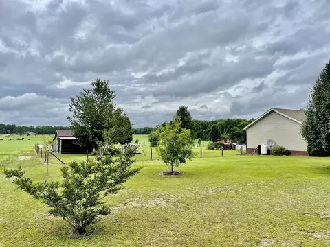 1119 Ghio Rd, Hamlet, NC 28345 photo 30