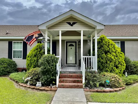 1119 Ghio Rd, Hamlet, NC 28345 photo 32