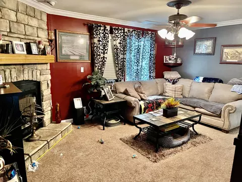 1119 Ghio Rd, Hamlet, NC 28345 photo 5