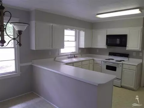 207 Gapway Ln, Fair Bluff, NC 28439 photo 22