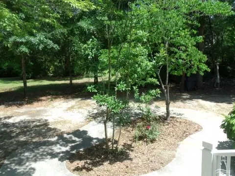 207 Gapway Ln, Fair Bluff, NC 28439 photo 13