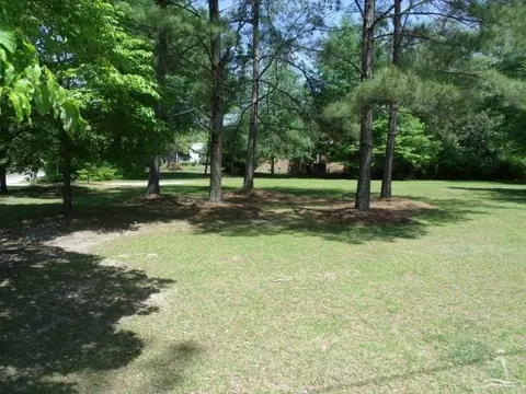 207 Gapway Ln, Fair Bluff, NC 28439 photo 6