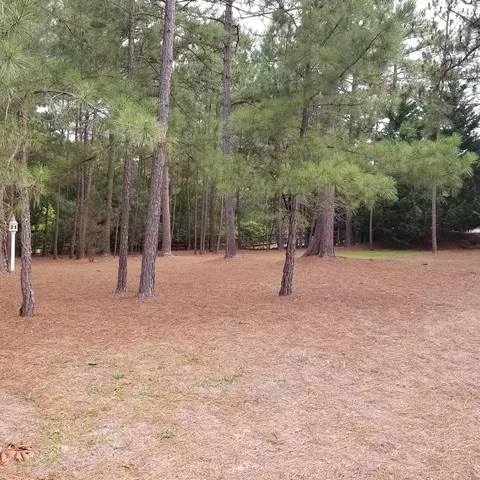 160 Pine Vista Dr, Pinehurst, NC 28374 photo 4