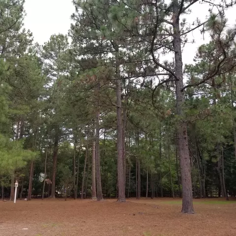 160 Pine Vista Dr, Pinehurst, NC 28374 photo 2