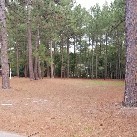 160 Pine Vista Dr, Pinehurst, NC 28374 photo 3