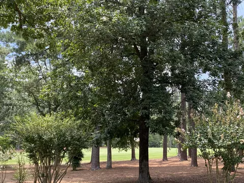 10 Pine Tree Rd #124, Pinehurst, NC 28374 photo 21