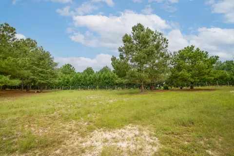 440 Read Rd, Cameron, NC 28326 photo 5