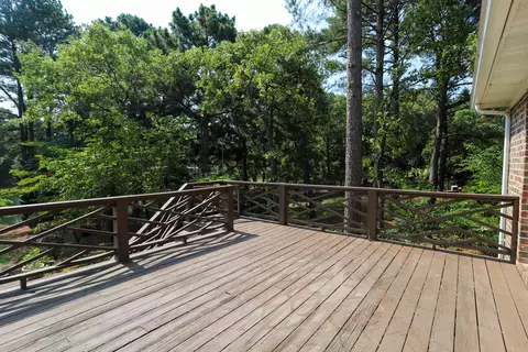 106 Firetree Ln, West End, NC 27376 photo 35