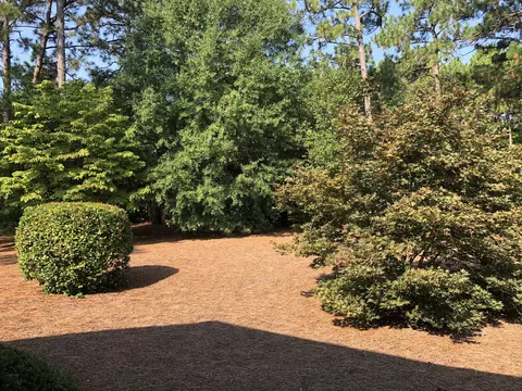 615 Pinehurst Trace Dr, Pinehurst, NC 28374 photo 19