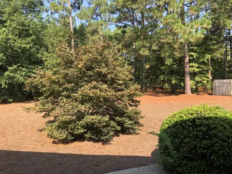 615 Pinehurst Trace Dr, Pinehurst, NC 28374 photo 20